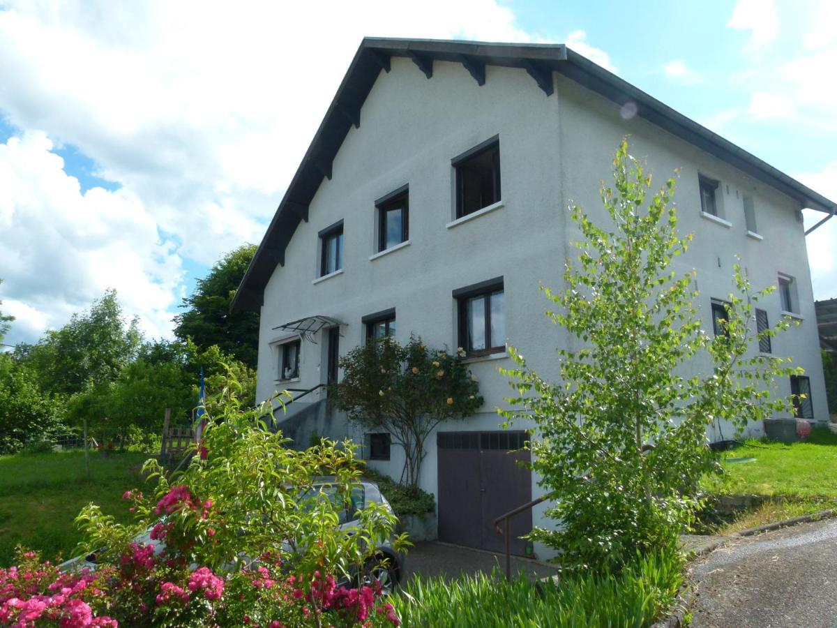 Villa Detente Dauphinoise Saint-Andre-le-Gaz Dış mekan fotoğraf